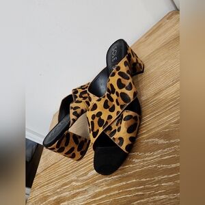 Sole Society Woman's Size 8.5 Heels leopard